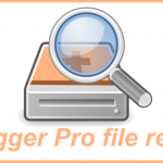 DiskDigger Pro file recovery Android apk v1.0-pro (MEGA)
