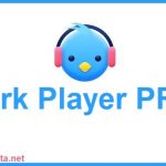 Lark Player PRO apk 5.23.7 Android Full Mod (MEGA)