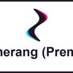 Zoomerang Premium APK 2.8.9.4 Full Mod (MEGA)