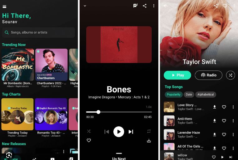 BlackHole Music Premium APK App Streaming