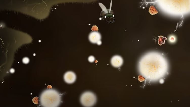 Botanicula apk MEGA
