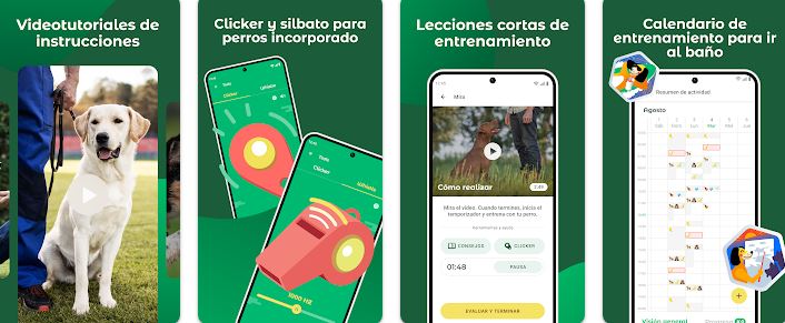 Dogo — Entrenador de perros